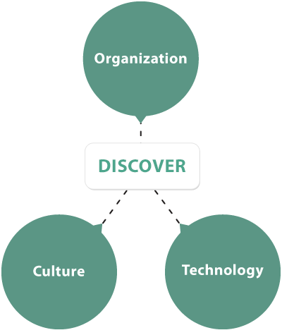 Discover