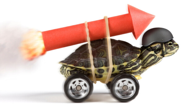 Turtle-On-Rocket-resized1